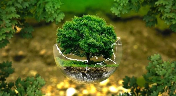 Innovation Eco Responsable